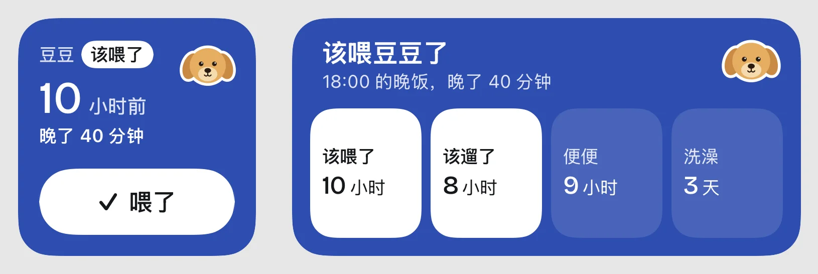 小号和中号桌面小组件，都写着该喂豆豆了，小号上有「喂了」按钮